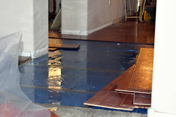 Professional Basement Flooding technician working in Hainesport, NJ